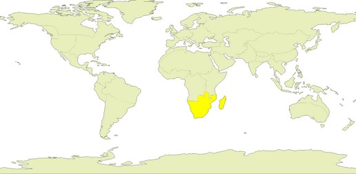 /19Southern Africa.jpg